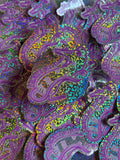 *:･ﾟ✧*:･ﾟFunny Possum Sticker *:･ﾟ✧*:･ﾟHolographic Glitter Vinyl Sticker Possum Sticker Leave Me Alone Sticker